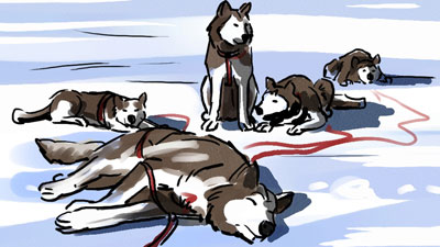 Marco Schaaf Illustration Husky