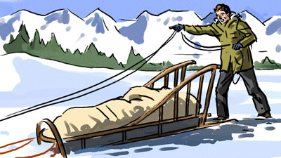 Marco Schaaf Illustration Husky