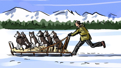 Marco Schaaf Illustration Husky