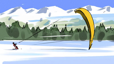 Marco Schaaf Illustration Husky