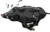Koch und Wildschwein